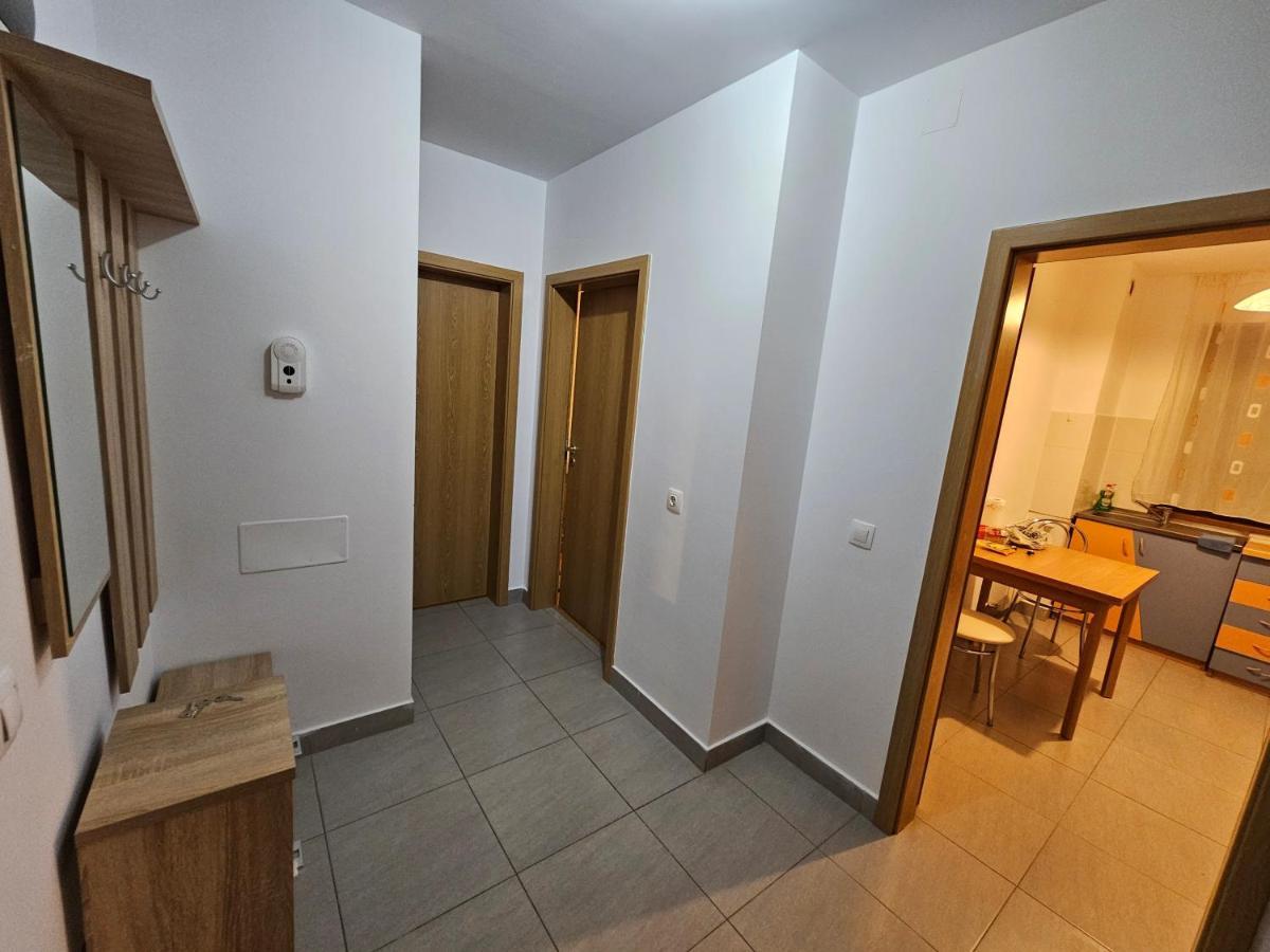 Elena'S Studio Brasov Coresi Buitenkant foto
